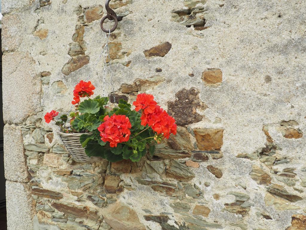 Bed and Breakfast Les Grands-Aulnais Cossé-le-Vivien Exterior foto